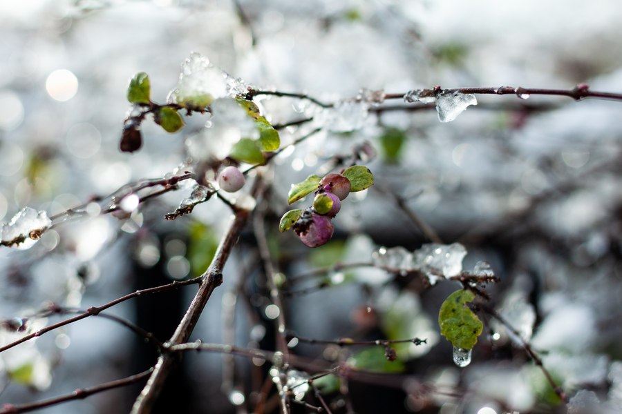 Prognoza meteo pe patru săptămâni: temperaturi sub medie la început de aprilie. Cum va fi vremea de Paște