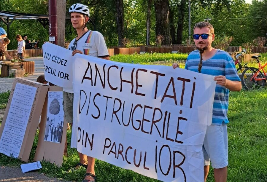 Raport „Starea democrației 2025”: Democrația din România, în criză profundă. Presiuni și amenințări asupra jurnaliștilor și activiștilor de mediu. Cazurile Pădurea Băneasa, Parcul IOR și Ciulnița – Document