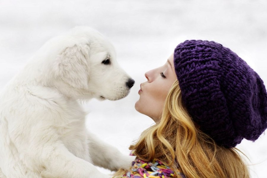 Salariu de 60.000 de lire și casă gratuită. Familia din Marea Britanie care caută „însoțitor” pentru câinele său