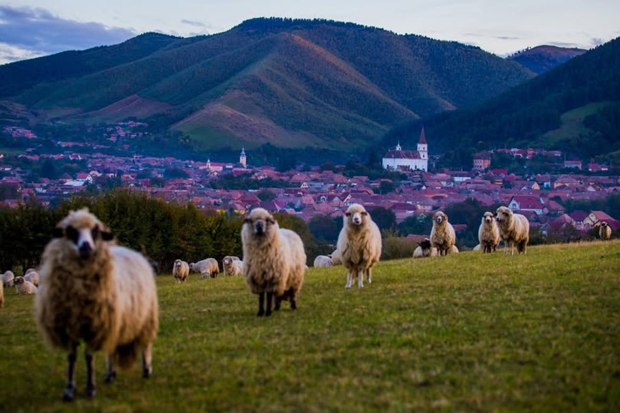Satele de poveste ale României: începe selecția localităților rurale care pot promova turismul românesc în lume, la „Best Tourism Villages”