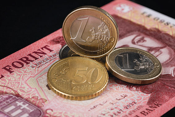 Schimbarea de regim din Ungaria, care a creat spectrul deblocării fondurilor europene şi al reparării legăturilor cu Bruxelles-ul, face din această ţară vedeta est-europeană a pieţelor financiare