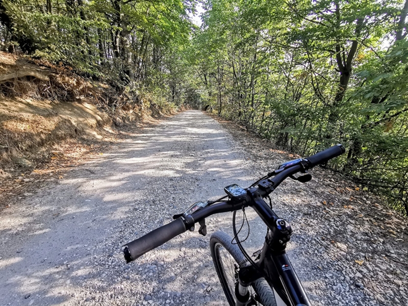 Se reintroduce serviciul gratuit de transport al bicicletelor către Poiana Brașov / ”Am primit tot mai multe solicitări, în special de la copii și tineri care practică mountain biking-ul”