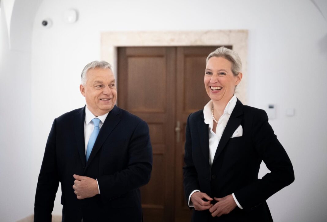 Sondaj INSA în Germania indică un scor record de 28% pentru AfD, în continuare cel mai puternic partid