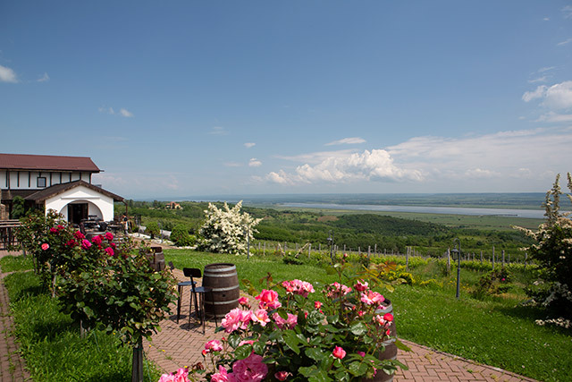 Supliment ZF Branduri româneşti. Vinurile româneşti, pe harta lumii: o poveste despre ascensiunea (lentă) a cramelor boutique şi a soiurilor autohtone