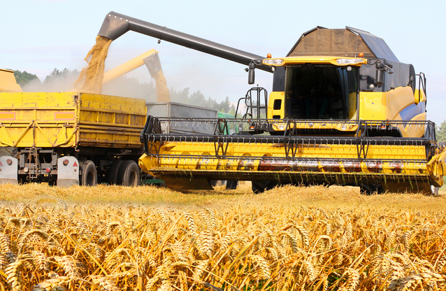 Tarfin, IFN din Turcia intrat pe piaţa locală în 2022, integrează businessul agricol şi creşte capitalul social