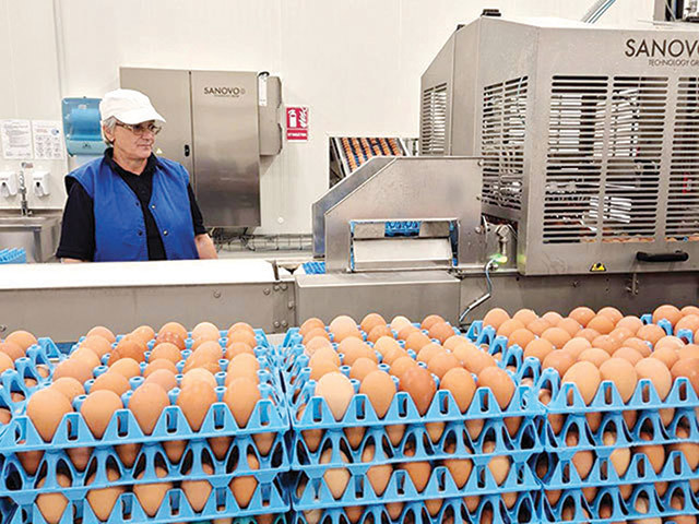 Toneli Holding are în plan investiţii de circa 40 de milioane de euro în acest an. „Începând cu anul 2023, am început cel mai amplu proces de investiţii din istoria companiei“. Toneli are 25 de ferme pe plan local şi o producţie anuală de circa 500 de milioane de ouă.