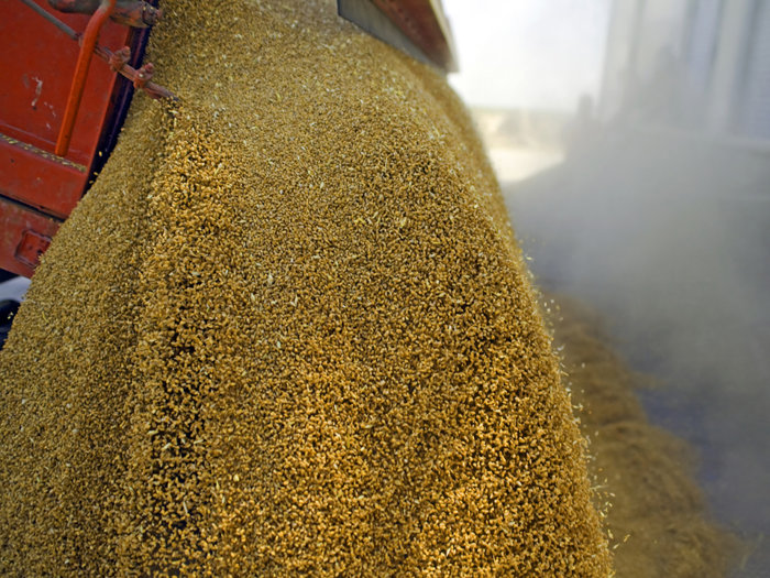 Traderul de cereale Agropec Dionis, controlat de antreprenorul Nagy Dionisie din Alba, a trecut pe profit în 2025, la afaceri de peste 296 mil. lei