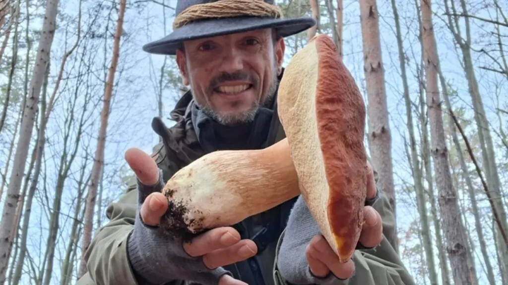 Un pasionat din Sibiu vrea să deschidă primul muzeu al ciupercilor din România: „Există mai mult decât credem în pădurile noastre” / Cum pot fi transformate ciupercile în cerneală, „piele” sau hârtie