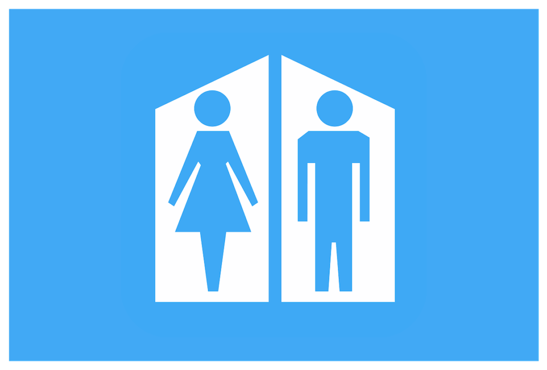 Un producător auto chinez a obţinut brevetul pentru toaletă integrate în maşină