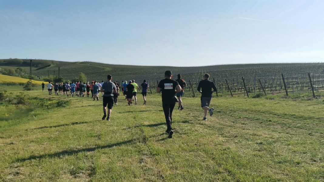 VIDEO FOTO Aproape 1.000 de alergători, printre vii la Petrovaselo: trail, vreme perfectă și gulaș la final