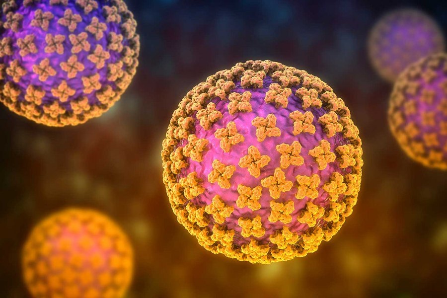 15 cazuri de hantavirus în România, în ultimii trei ani. Autoritățile, în alertă după focarul de pe nava de croazieră