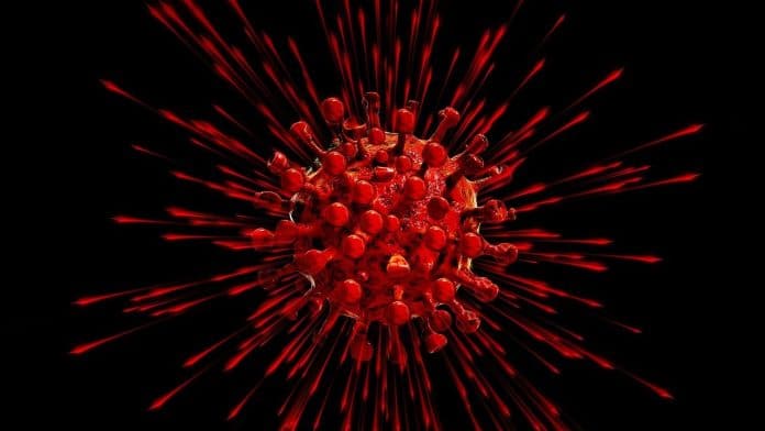 Alertă sanitară pe un vas de croazieră: suspiciuni de hantavirus după trei decese în Atlantic