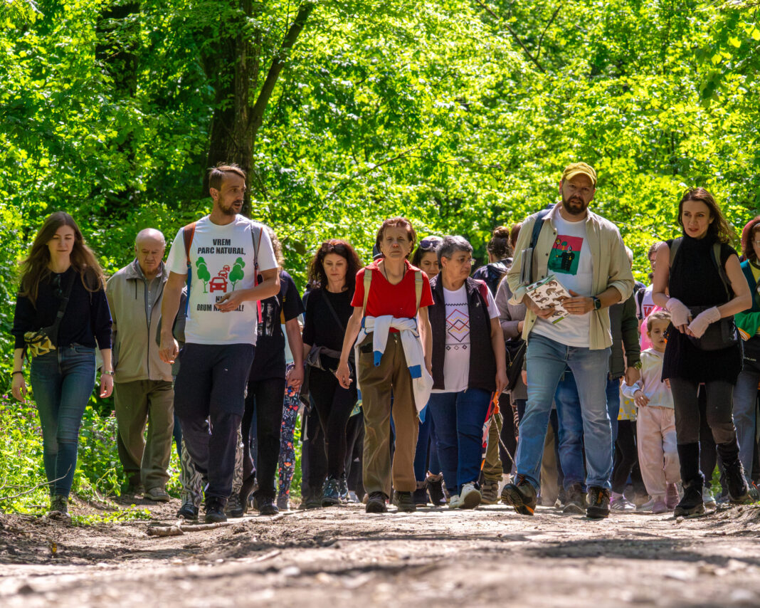 FOTO REPORTAJ | Când pădurea își cere liniștea: tur ghidat în Pădurea Băneasa, între natură și presiunea traficului, despre biodiversitate și viața sălbatică