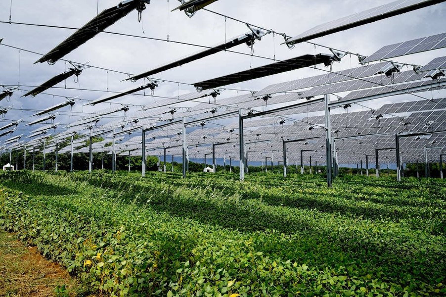 Fotovoltaice în agricultură. Ce criterii trebuie să îndeplinească fermierii pentru a primi finanțarea nerambursabilă