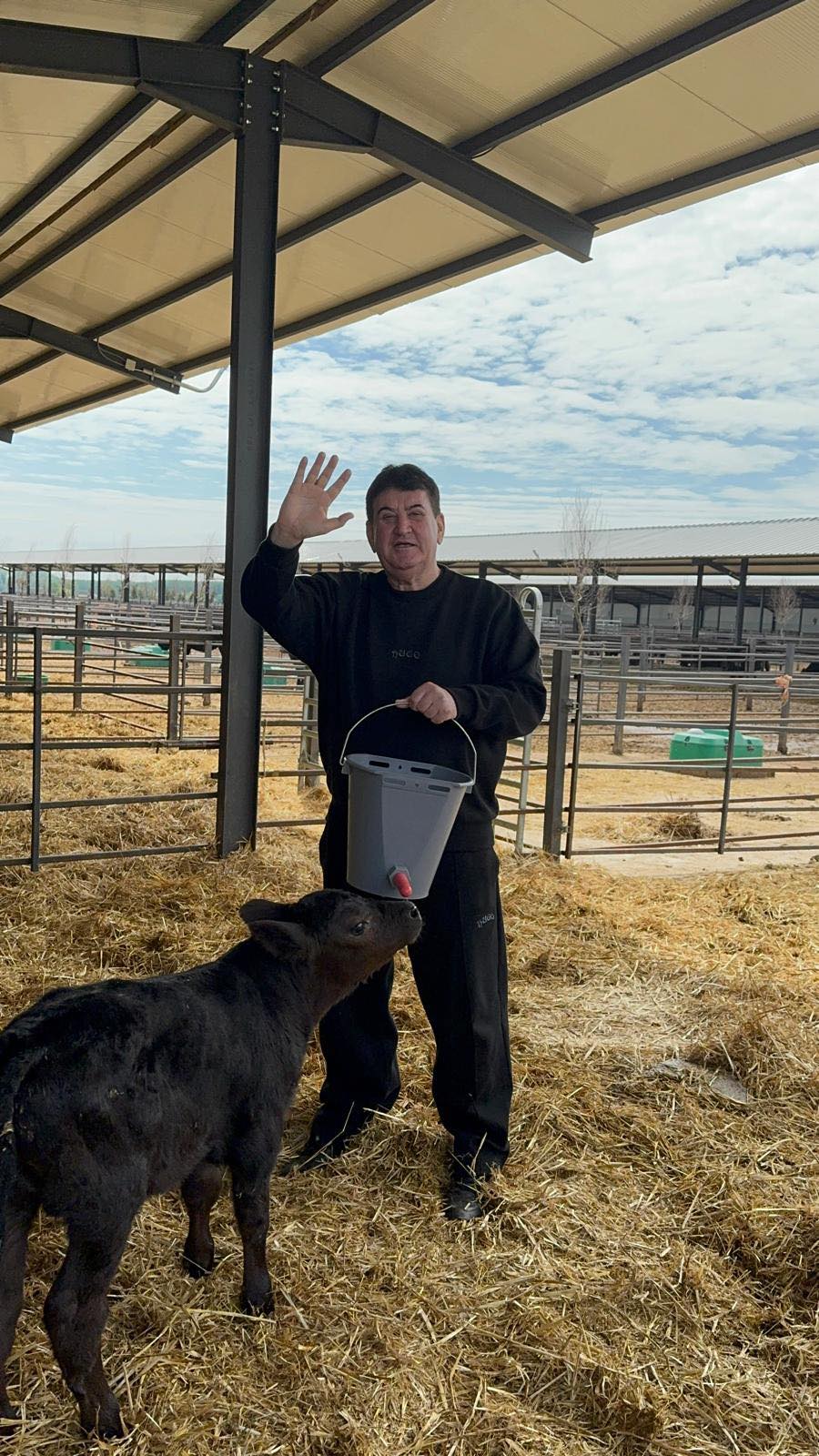Gabriel Oprea se laudă că a cumpărat 15% dintr-o fermă de Black Angus, cu 5 milioane de Euro