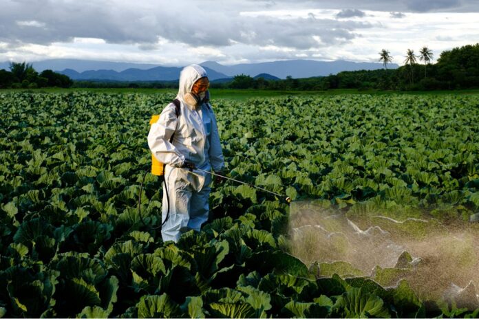 Insecticide agro: cum alegi solutia potrivita pentru protectia culturilor