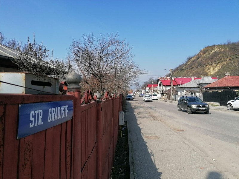 Masacru într-o curte din Slatina. Șapte animale omorâte sub ochii proprietarilor: „E a doua oară”