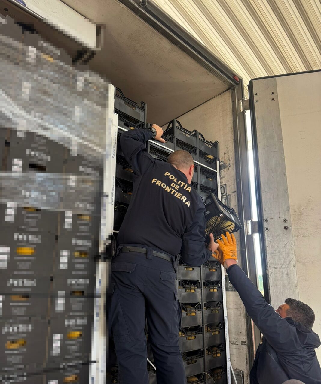 NEWS.ro: Giurgiu: Poliţiştii de frontieră au capturat peste şapte milioane de ţigarete ascunse într-un transport de citrice / Valoarea acestora este de două milioane de euro