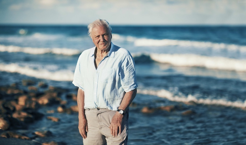 NEWS.ro: Sir David Attenborough împlineşte 100 de ani - BBC Earth va difuza în premieră documentarul „Wild London”