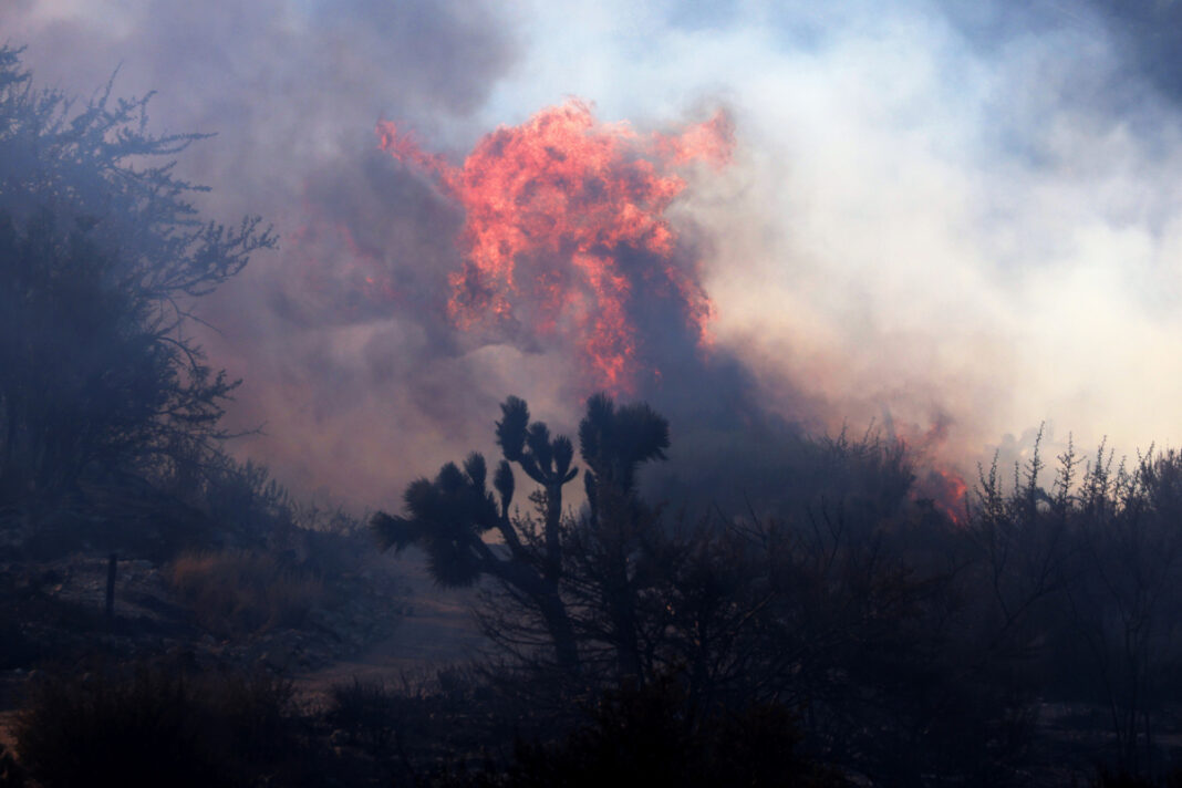 „Să eliminăm toți miliardarii”. Suspectul în cazul incendiilor din Los Angeles a dat vina pe bogați