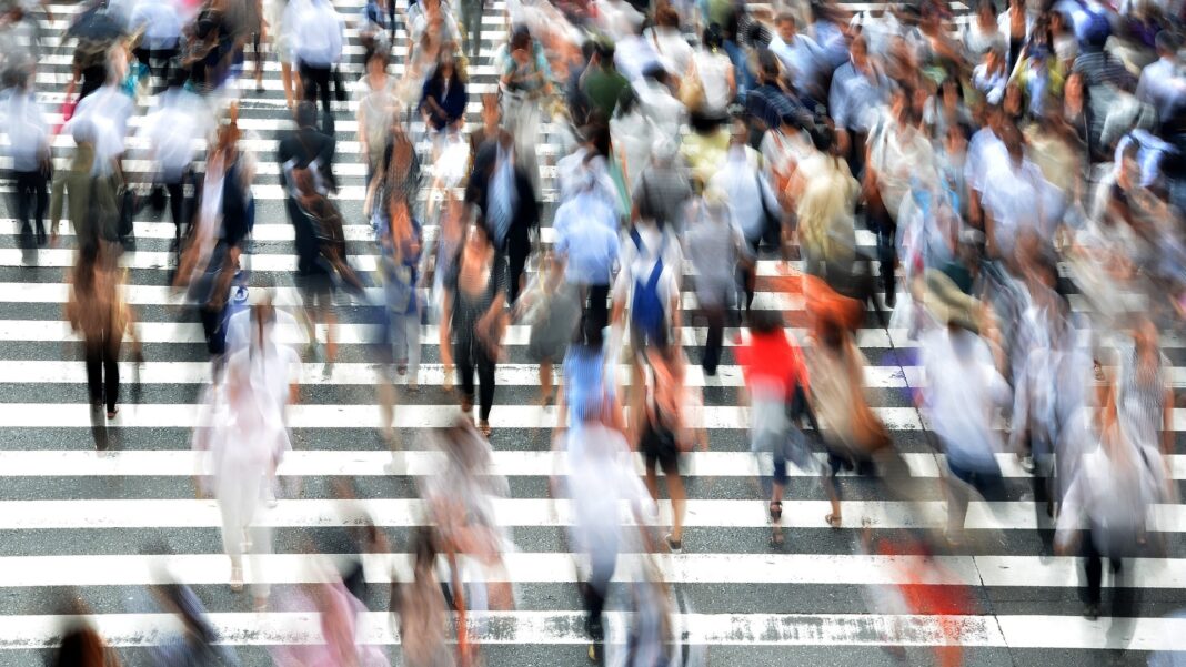 Sondaj intern USR: PSD a coborât pe locul patru/ AUR rămâne pe primul loc, urmat de PNL și USR  – surse