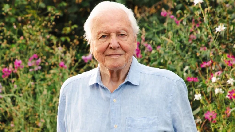 „Superputerea secretă” a legendarului David Attenborough: omul care, la 100 de ani, continuă să inspire întreaga lume