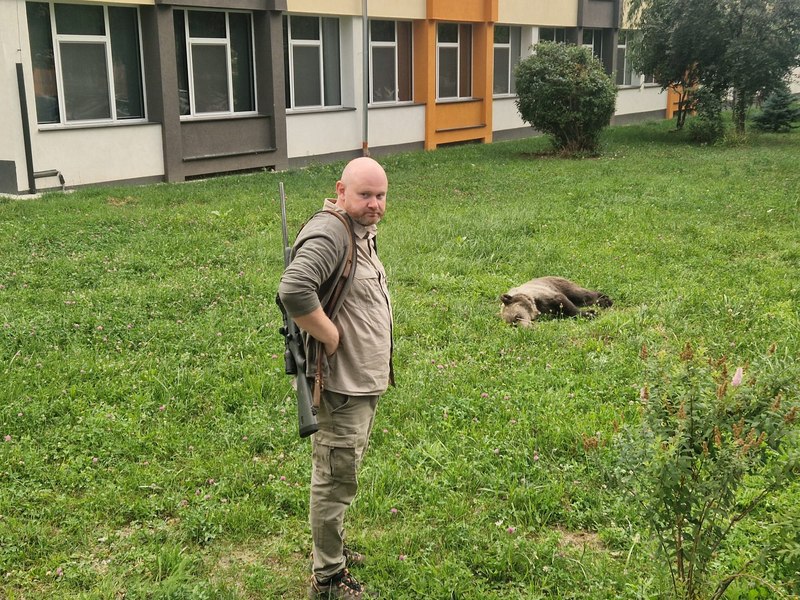Alertă la un liceu din Sibiu. Un urs a pătruns în curte și a fost tranchilizat după o intervenție dificilă