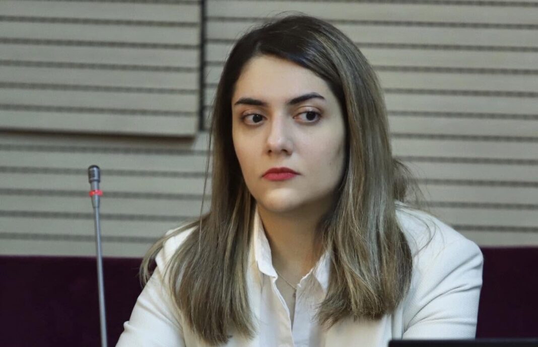 Alexandra Zară, demisă de ministrul Pîslaru pentru că nu l-ar fi informat despre acțiunea DIICOT de la Bihor / Șefa instituției care se ocupă de persoanele cu dizabilități susține că așa i-au cerut procurorii