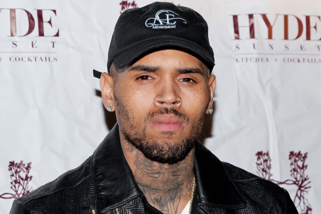 Chris Brown obligat de instanță să plătească 13 milioane de dolari după atacul câinelui său asupra unei foste menajere