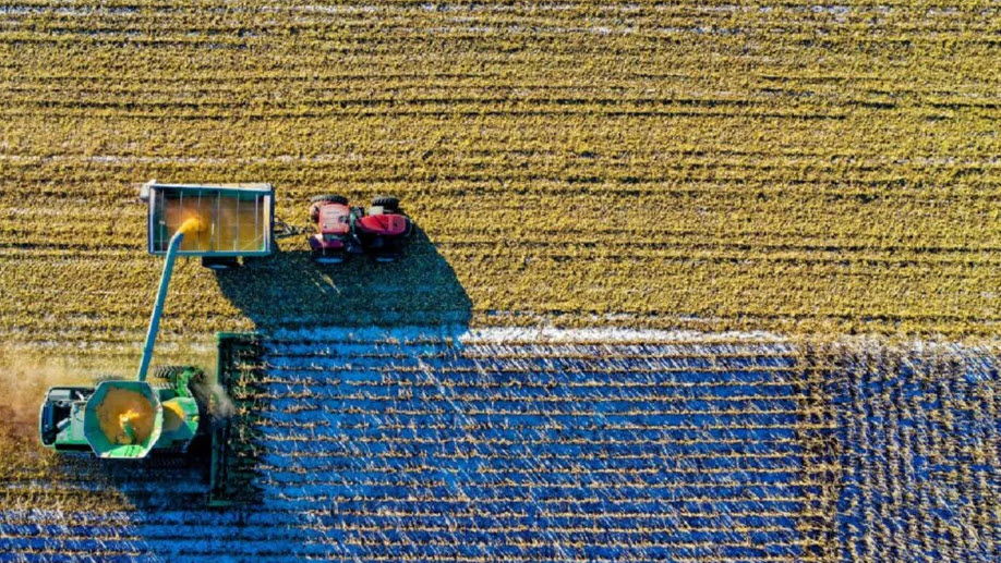 Fraudele alimentare și riscurile pentru sănătate vor fi mai ușor detectate. Comisia Europeană va folosi inteligența artificială pentru depistarea produselor și proceselor neconforme