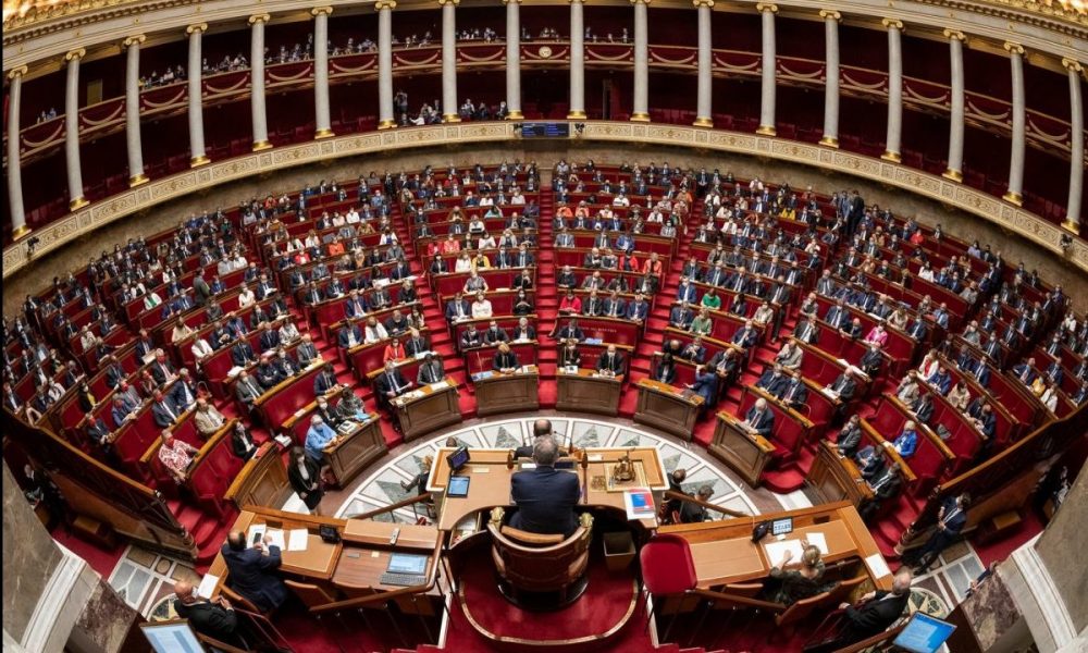 Parlamentul Franței a adoptat legea care legalizează eutanasia și sinuciderea asistată