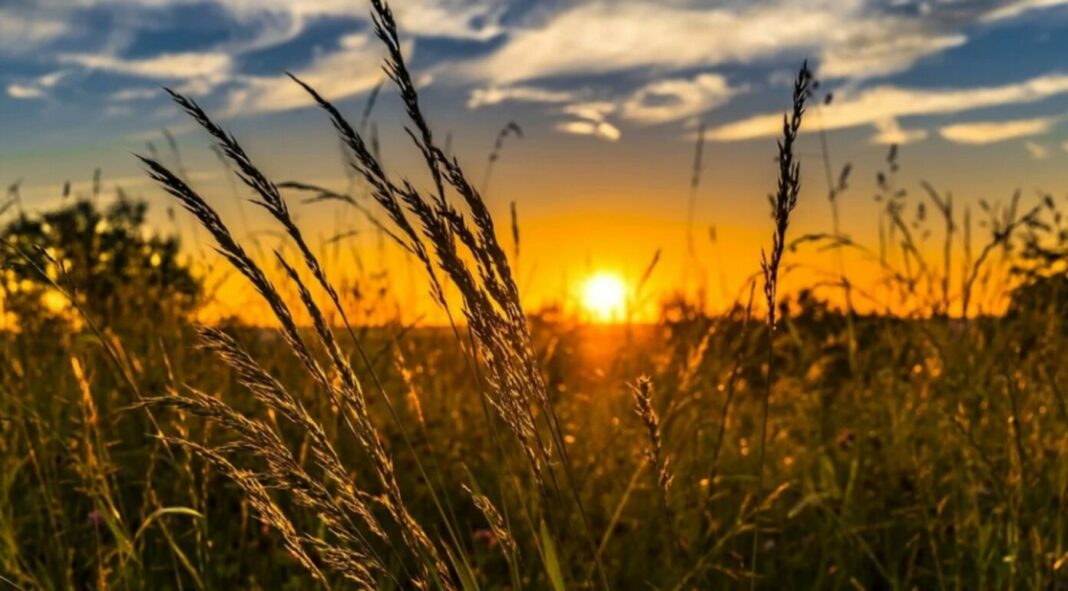 Studiu: Expunerea la lumina naturală în timpul zilei poate îmbunătăți calitatea somnului