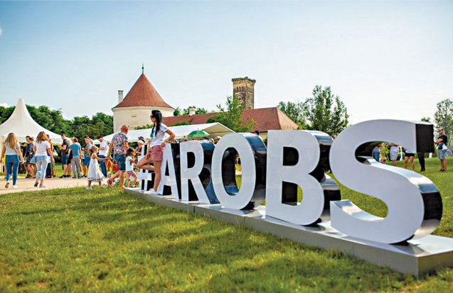 AROBS, cea mai mare companie din IT de la Bursa de Valori, a raportat afaceri semestriale de 292 mil. lei, plus 36%, şi un profit net de 22,5 mil. lei, dublu faţă de S1 2025, susţinut de diferenţe de curs valutar