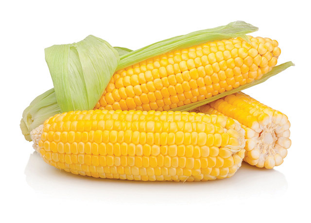 Paradox: avem una dintre cele mai bune producţii de cereale, preţurile cresc, dar fermierii nu încasează mai mult