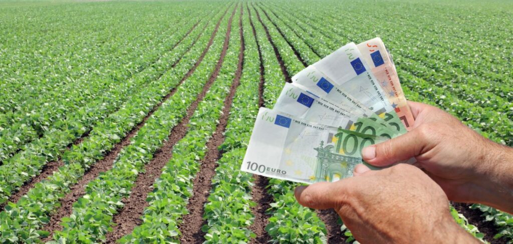 APIA a transferat vineri peste 124 de milioane de euro pentru 103.755 de fermieri, în prima zi de plată a avansului subvenţiilor agricole