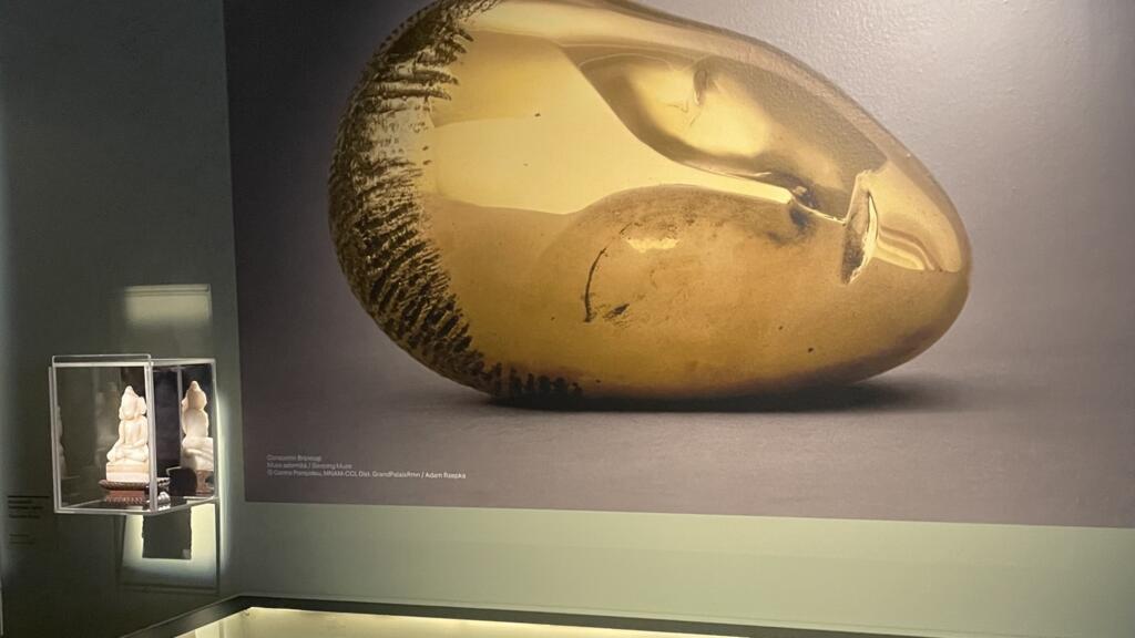 Brancusi si muzele sale la Art Safari - interviu cu Doina Lemny