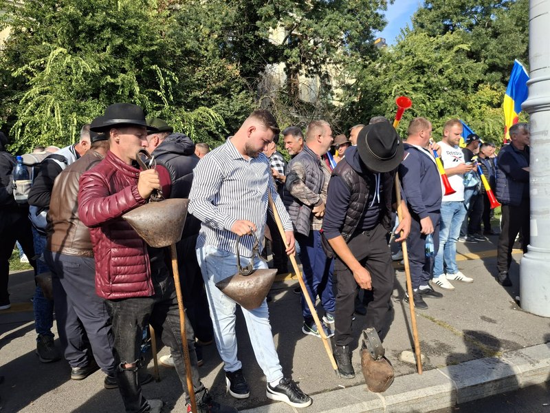 Dispută între MAI și crescătorii de ovine: ministerul vorbește despre revendicări rezolvate, fermierii îl contrazic