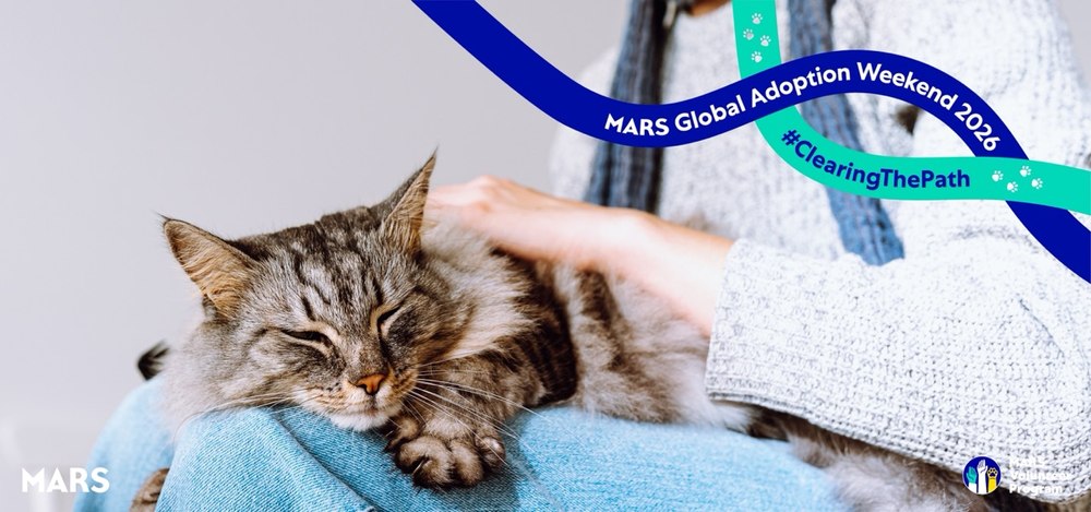 Mars lansează o platformă dedicată adopției animalelor de companie, în contextul unui nou studiu care arată ce îi împiedică pe oameni să adopte