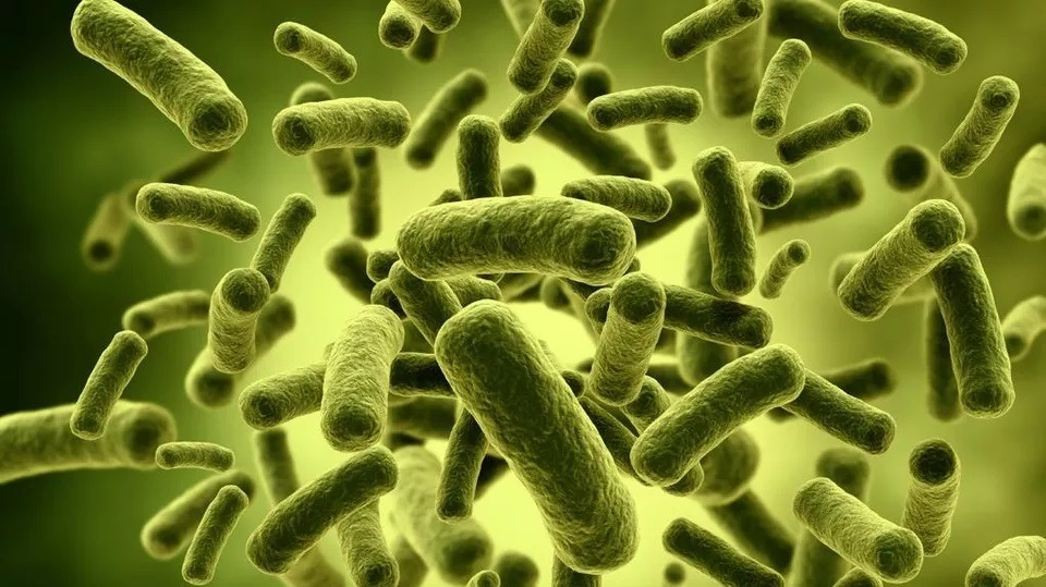 Microbi modificați genetic de oamenii de știință pentru a ajuta la colonizarea planetei Marte
