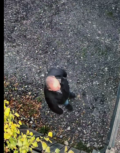 NEWS.ro: Braşov: Anchetă a Poliţiei, după ce două persoane au fost filmate în timp ce aruncă doi pui de câine peste gardul de doi metri al unui adăpost pentru animale – VIDEO