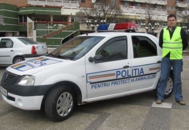 NEWS.ro: Caraş-Severin: 11 căini pe care proprietarul nu i-a mai putut îngriji, preluaţi de poliţişti / Animalele rămăseseră fără apă, hrană şi îngrijire medicală