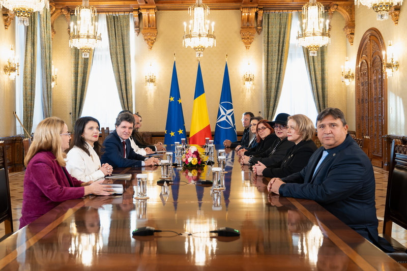 NEWS.ro: CONSULTĂRI LA COTROCENI – Diana Iovanovici Şoşoacă (S.O.S România): Având în vedere situaţia dezastruoasă a României, suntem capabili să discutăm cu absolut toate forţele politice, să facem un guvern să scoatem ţara din criză, nu să o băgăm în criză
