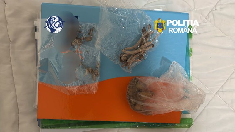 NEWS.ro: Două persoane, reţinute la Galaţi după ce ar fi adus din Spania canabis şi cocaină prin curier - FOTO