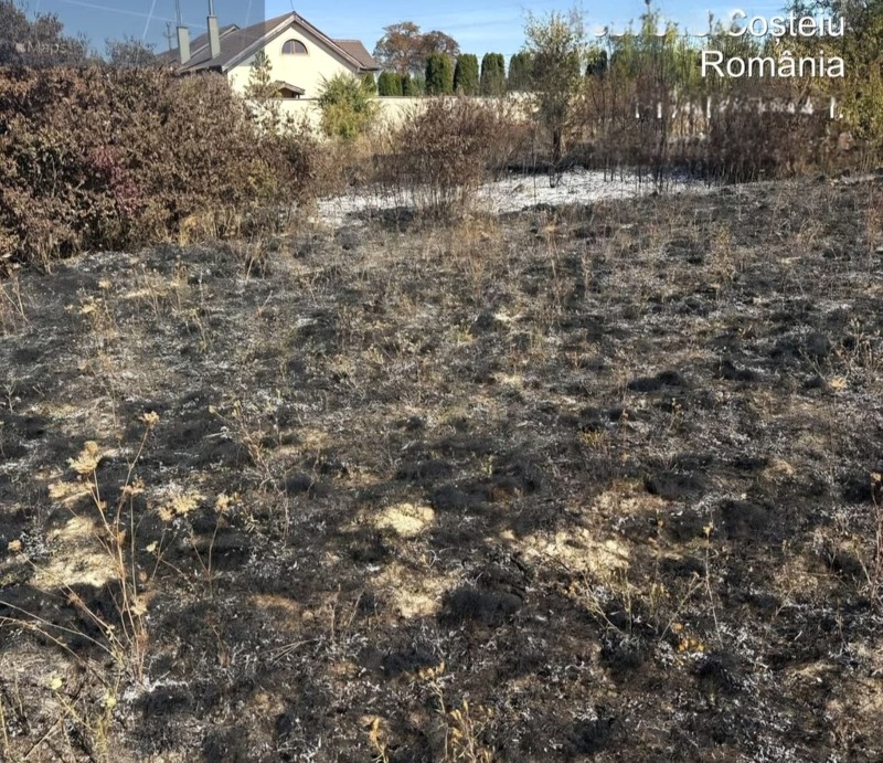 NEWS.ro: Incendii pe peste 40 de hectare de teren, în Timiş, în doar 24 de ore