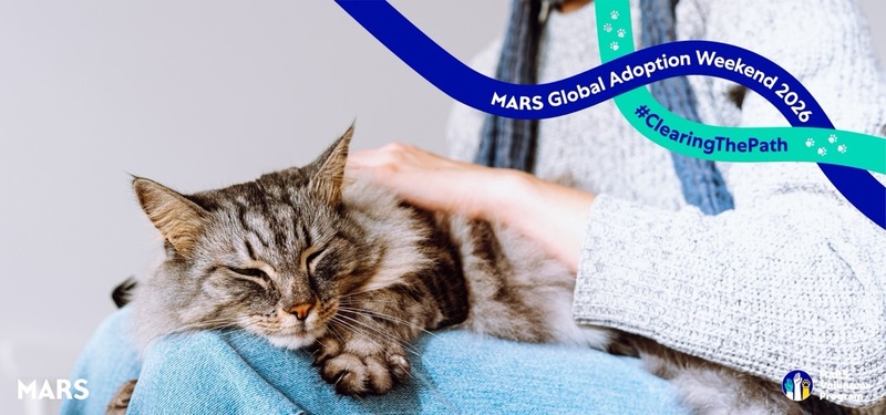 NEWS.ro: Mars lansează o platformă dedicată adopţiei animalelor de companie, în contextul unui nou studiu care arată ce îi împiedică pe oameni să adopte