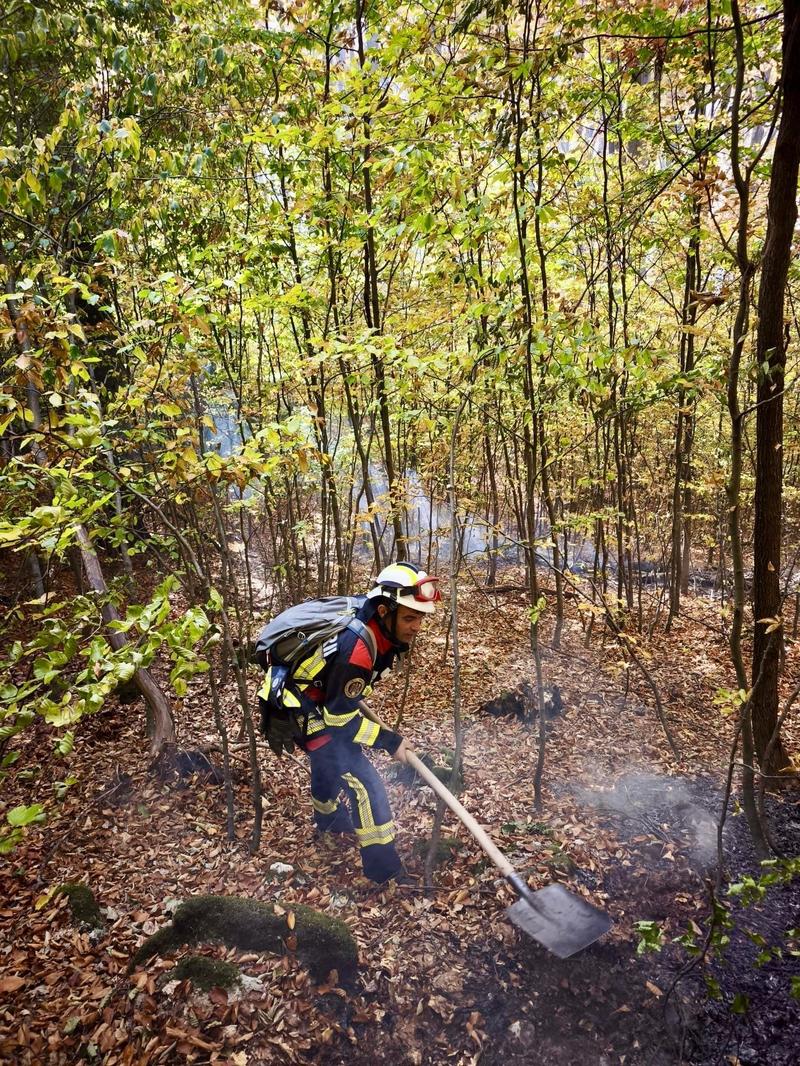 NEWS.ro: Noi intervenţii pentru stingerea incendiilor din Parcul Naţional Domogled, unde peste o mie de hectare sunt afectate de flăcări  şi din zona staţiunii Băile Olăneşti