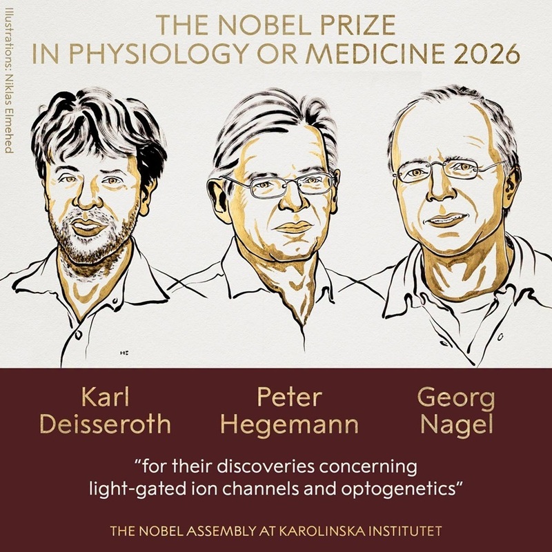NEWS.ro: Premiul Nobel pentru Fiziologie sau Medicină 2026 a fost acordat cercetătorilor Karl Deisseroth, Peter Hegemann şi Georg Nagel „pentru descoperirile lor privind canalele ionice activate de lumină şi optogenetica”