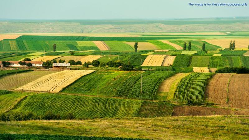 NEWS.ro: Trei persoane, trimise în judecată la Tribunalul Bucureşti, pentru o fraudă de 3,5 milioane de euro care a vizat 237 de proiecte agricole finanţate de UE / 30 de persoane au încheiat acorduri de recunoaştere a vinovăţiei / Zeci de alţi suspecţi în dosar