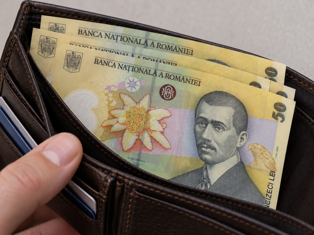 Piaţa valutară s-a mai calmat după decizia agenţiei S&P de menţinere a ratingul României în liga recomadată investitorilor: Cursul oficial anunţat luni de BNR: 5,33 lei/euro, în scădere de la peste 5,34 lei/euro vineri