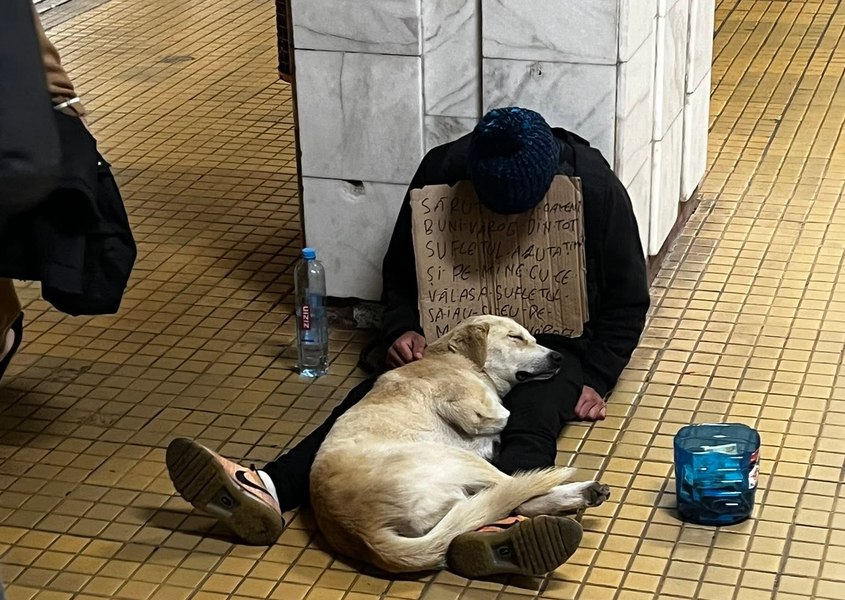 Protest în București față de un cerșetor însoțit de câini. Iubitorii de animale suspectează că patrupedele sunt sedate
